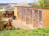 Fundraiser for land for dog walking and expanding the Voriskov shelter